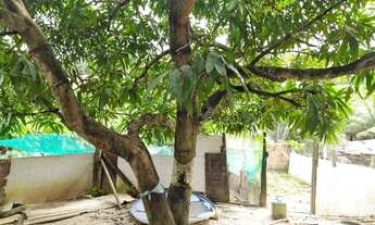 Imagem 2: Vendo uma casa Casa com 2 dormitórios