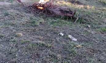 Imagem 4: Vendo maravilhoso sítio em jaguaripe