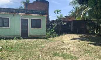 Imagem 3: Excelente terreno muito grande