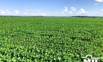 Imagem 5: Fazenda Agrícola em Acreúna-GO. 130 Alqueires (629 Hectares)