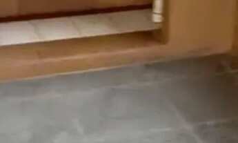 Imagem 6: Apartamento duplex em Governador Valadares