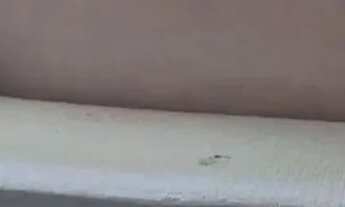 Imagem 7: LINDO APARTAMENTO NA PONTA DO FAROL, VISTA MAR, REFORMANDO E PROJETADO, ANDAR ALTO, DELLAM