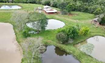 Imagem 3: CHÁCARA ESCRITURADA EM GUARANIAÇU