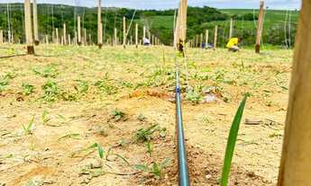 Imagem 4: Chácara de 1 alqueire mais 2 casas e 350 metros de rio no fundo