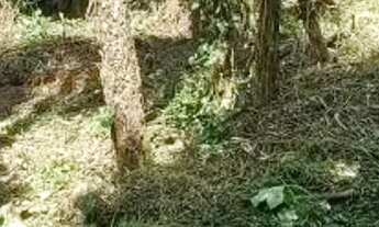 Imagem 5: TERRENO EM CD FECHADO EM COTIA..