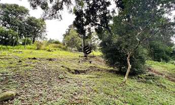Imagem 3: Área de Terras à venda no Bairro Vale Esquerdo em Dois Irmãos RS REF: 1610