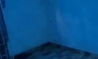 Imagem 3: Aluga-se casa Casa com 2 dormitórios