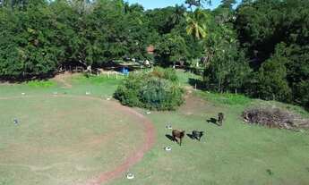 Imagem 3: Chácara dos Sonhos em Morada da Barra à Venda!
