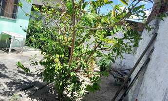 Imagem 6: Vende se Casa com 2 dormitórios