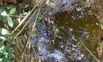 Imagem 6: Chácara em condomínio perto de Belo Horizonte