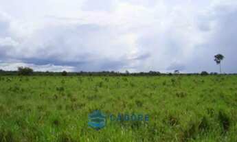 Imagem 2: Área Rural, no Tocantis