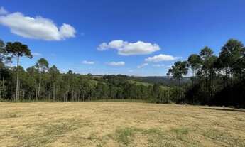Imagem 2: Lote barato em Ibiúna com ótima topografia