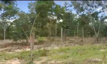 Imagem 4: LOTE SERRA DA MESA EM COLINAS DO SUL G.O