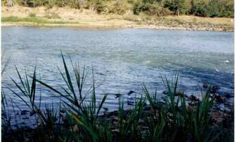 Imagem 3: Fazenda São Gonçalo do Abaeté, MG