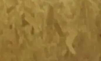 Imagem 7: Casa em Rua Renato Ferreira Porto - Jardim Panorama - Mogi Mirim/SP