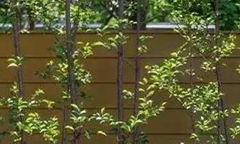 Imagem 6: LANÇAMENTO Portal do Sol Noronha