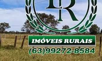 Imagem 2: Fazenda 152 alqueires, 740 hectares Dupla Aptidão Próximo a Palmas Tocantins