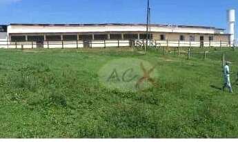 Imagem 4: Haras com 5 dormitórios à venda, 520000 m² por R$ 20.000.000 - Tabatinga - Tijucas do Sul