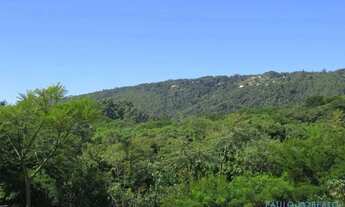 Imagem 5: CASA TÉRREA - RIO ABAIXO - SP