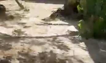 Imagem 7: Vendo casa no parque soledade