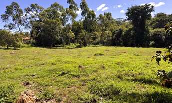 Imagem 6: Fazendinha 8 Alqueires Bela Vista