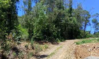 Imagem 3: Sitio - Bairro Linha Ávila