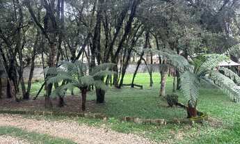 Imagem 3: Vendo chácara Chácara com venda por R$850.000