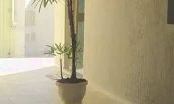 Imagem 3: Casa a venda em Pouso Alegre mg. no sul minas