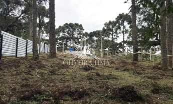 Imagem 7: TERRENO À VENDA na SEDE DE CAMPINA GRANDE DO SUL REF: 1391