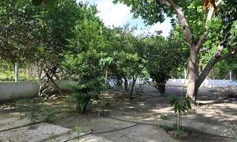 Imagem 6: Imóvel para venda possui 90 metros quadrados com 2 quartos em Área Rural de Teresina - Ter