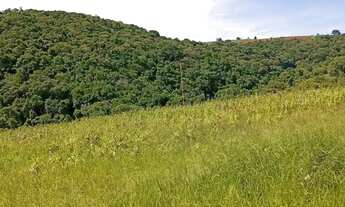 Imagem: Terrenos Amplos em Ibiúna 1000m² com Muito