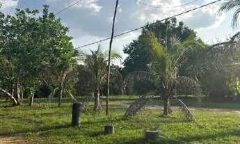 Imagem 3: Vendo ou Troco Terreno