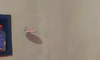 Imagem 5: Casa na alça viária km27