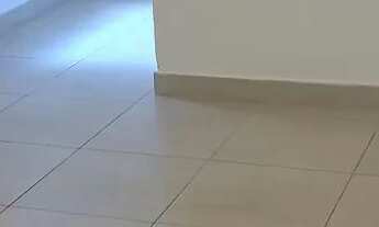 Imagem 7: Aluguel Vicente Pires