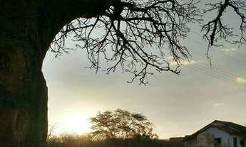 Imagem: Fazenda no choró/ 150.000,00 cada fazenda