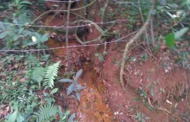 Imagem 8: Vc quer fazer plantio tenho um linda fazendinha de 20 mil m² com muita agua a 280 mil