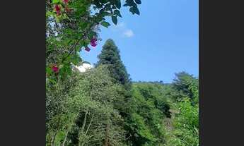 Imagem 4: Temporada linda casa em Teresópolis 6 Quartos