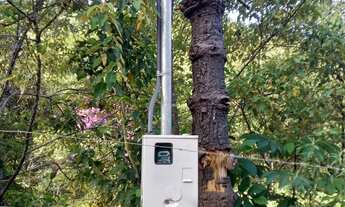 Imagem 4: Granja com água e luz