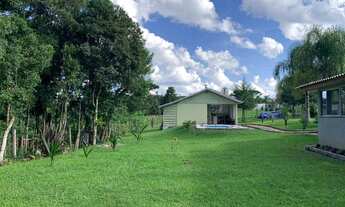 Imagem 3: Chácara para venda possui 12000 metros a 25 minutos do centro de São José dos Pinhais