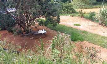 Imagem 5: Granja com água e luz