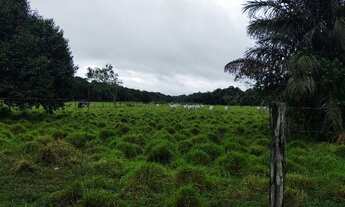 Imagem: R$ 3,5 milhões fazenda pronta no asfalto