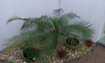 Imagem 7: Casa e Sobrado de 2 dormitórios à Venda - Xangri-lá