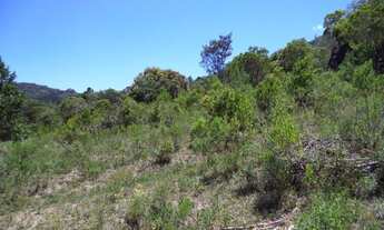 Imagem 3: TERRENO RESIDENCIAL em FLORIANÓPOLIS - SC, RATONES
