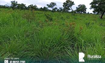 Imagem 6: Fazenda com alto potencial agrícola em Almas - TO