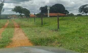 Imagem 3: Fazenda em frutal 98 alqueirão 34.300.000.00 ( jam