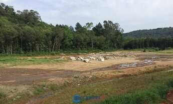 Imagem 4: Oportunidade terreno com frente para RS122