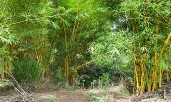 Imagem 7: Sitio 12.000m² com muita água, a 4km do centro de Baldim