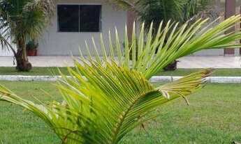 Imagem 2: Casa com 4 dormitórios para alugar, 350 m² por R$ 1.700,00/dia - Atami Norte - Pontal do P