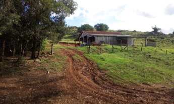 Imagem 3: Belíssima Fazendinha com 48 ha em Campos Novos - SC