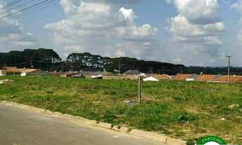 Imagem 3: Terreno para venda no Gralha Azul - Fazenda Rio Grande - PR